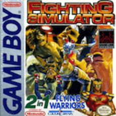 (GameBoy): 2 In 1: Flying Warriors / Fighting Simulator